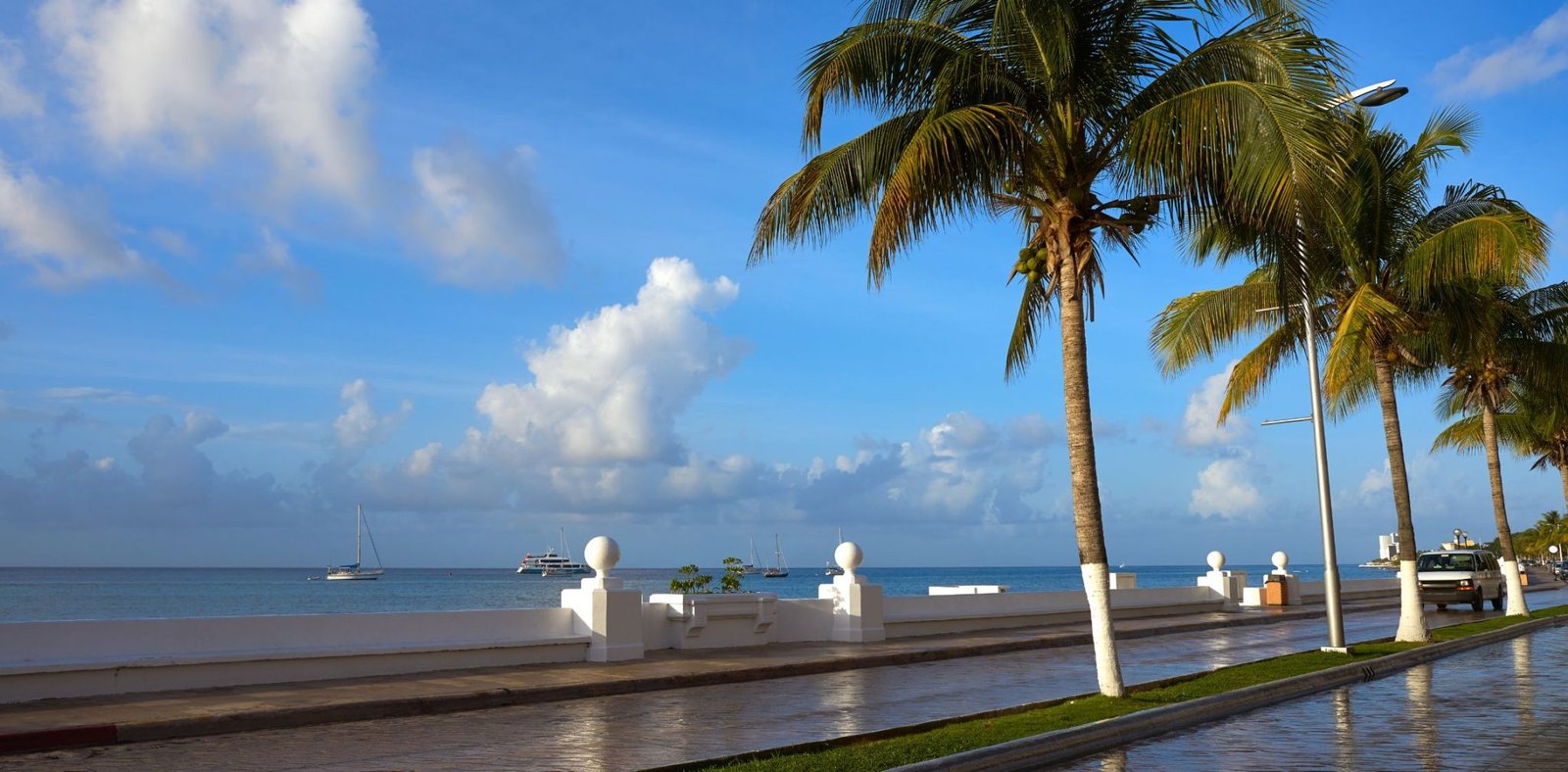 Why Are Trees Painted White In Mexico Painting Doctors