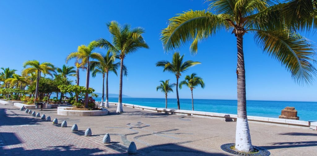 Why Are Trees Painted White In Mexico Painting Doctors