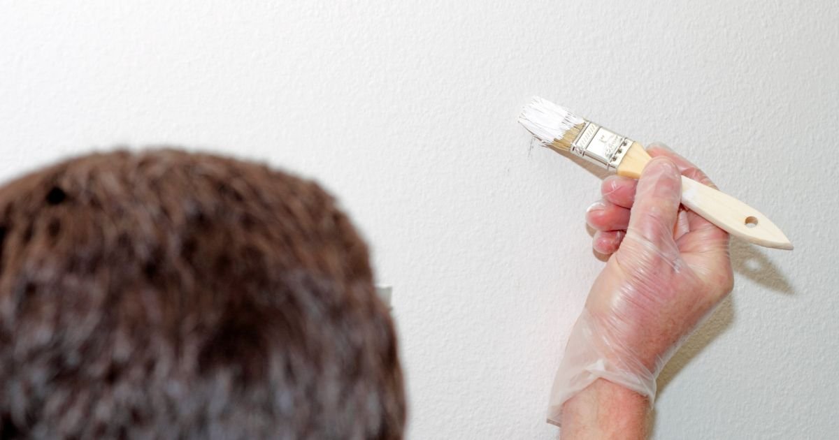 Can You Touch Up Eggshell Paint Painting Doctors