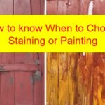 How to know When to Choose Staining or Painting